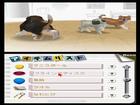 Nintendogs Labrador and Friends - Screenshot 7