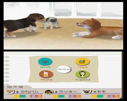 SCARICARE NINTENDOGS COMPUTER