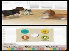 Nintendogs Labrador and Friends - Screenshot 8