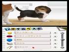 Nintendogs Labrador and Friends - Screenshot 9