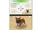 Nintendogs Chihuahua and Friends - Screenshot 1