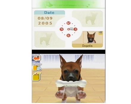Nintendogs Chihuahua and Friends - Screenshot 2