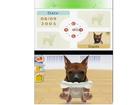 Nintendogs Chihuahua and Friends - Screenshot 2