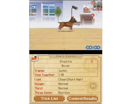 Nintendogs Chihuahua and Friends - Screenshot 3