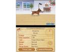 Nintendogs Chihuahua and Friends - Screenshot 3