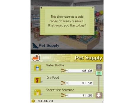 Nintendogs Chihuahua and Friends - Screenshot 4