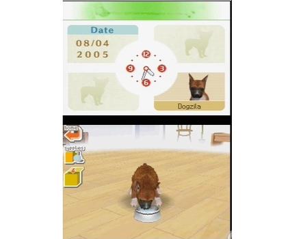 Nintendogs Chihuahua and Friends - Screenshot 6