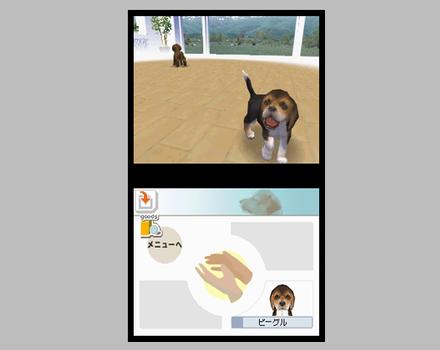Nintendogs Chihuahua and Friends - Screenshot 7