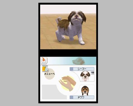 Nintendogs Chihuahua and Friends - Screenshot 8
