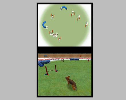 Nintendogs Chihuahua and Friends - Screenshot 9