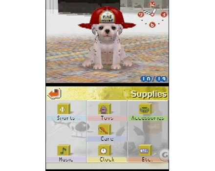 Nintendogs Dalmatian and Friends - Screenshot 2
