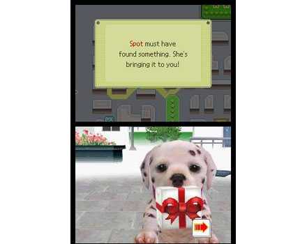 Nintendogs Dalmatian and Friends - Screenshot 9