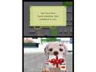 Nintendogs Dalmatian and Friends - Screenshot 9