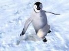 Happy Feet - Screenshot 1