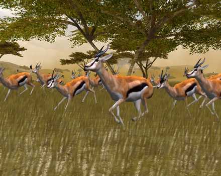 Cabela's African Safari - Screenshot 2