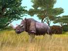 Cabela's African Safari - Screenshot 3
