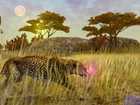 Cabela's African Safari - Screenshot 4