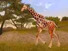 Cabela's African Safari - Screenshot 5