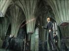 Harry Potter and the Order of the Phoenix - Screenshot 2