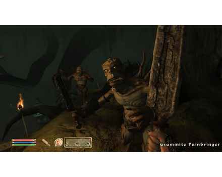 Elder Scrolls IV: Oblivion Game of The Year Edition - Screenshot 1