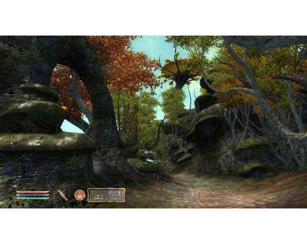 Elder Scrolls IV: Oblivion Game of The Year Edition - Screenshot 2