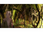 Kingdom Under Fire: Circle of Doom - Screenshot 1
