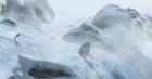 Shaun White Snowboarding - Screenshot 5