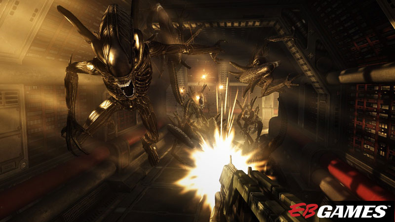 Aliens vs Predator - Screenshot 3