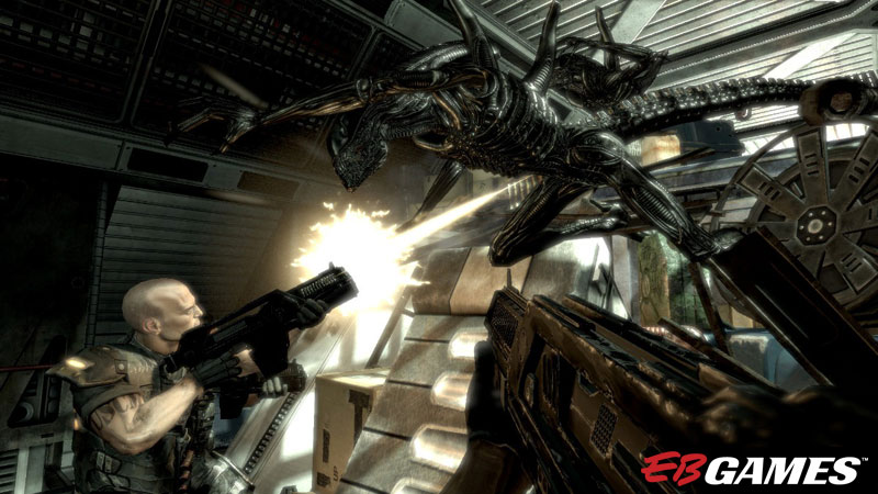 Aliens vs Predator - Screenshot 7