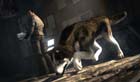 Dead to Rights: Retribution - Screenshot 4
