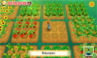 Story of Seasons - Screenshot 2