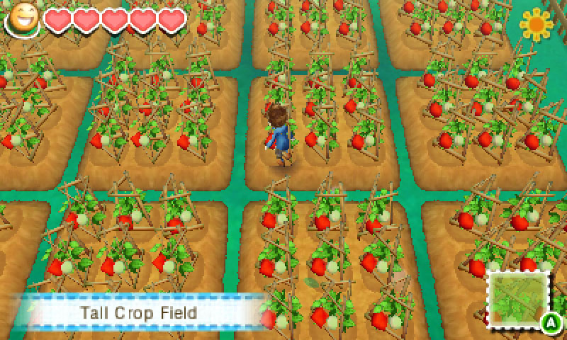 Story of Seasons - Screenshot 9