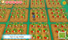 Story of Seasons - Screenshot 9