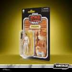 Star Wars - The Vintage Collection - Padme Amidala (Geonosis) Action Figure - Screenshot 1
