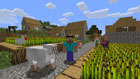Minecraft - Screenshot 5