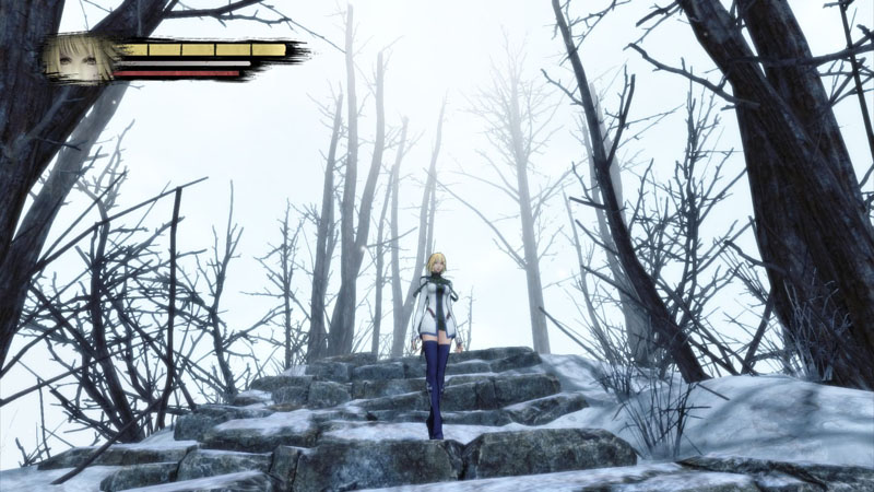 Anima: Gate of Memories - Screenshot 4