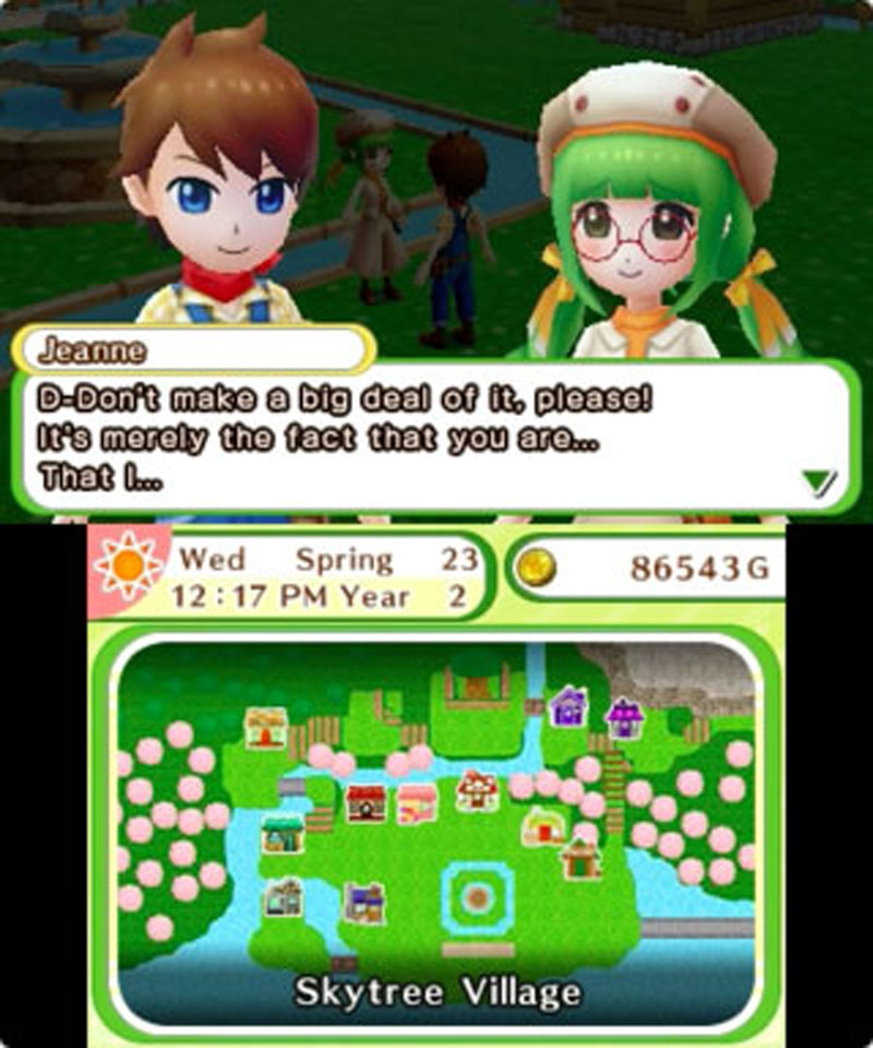 Harvest Moon: Skytree Village - Screenshot 1
