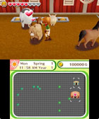 Harvest Moon: Skytree Village - Screenshot 2