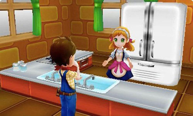 Harvest Moon: Skytree Village - Screenshot 3