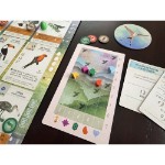 Wingspan Americas Expansion Board Game - Screenshot 3