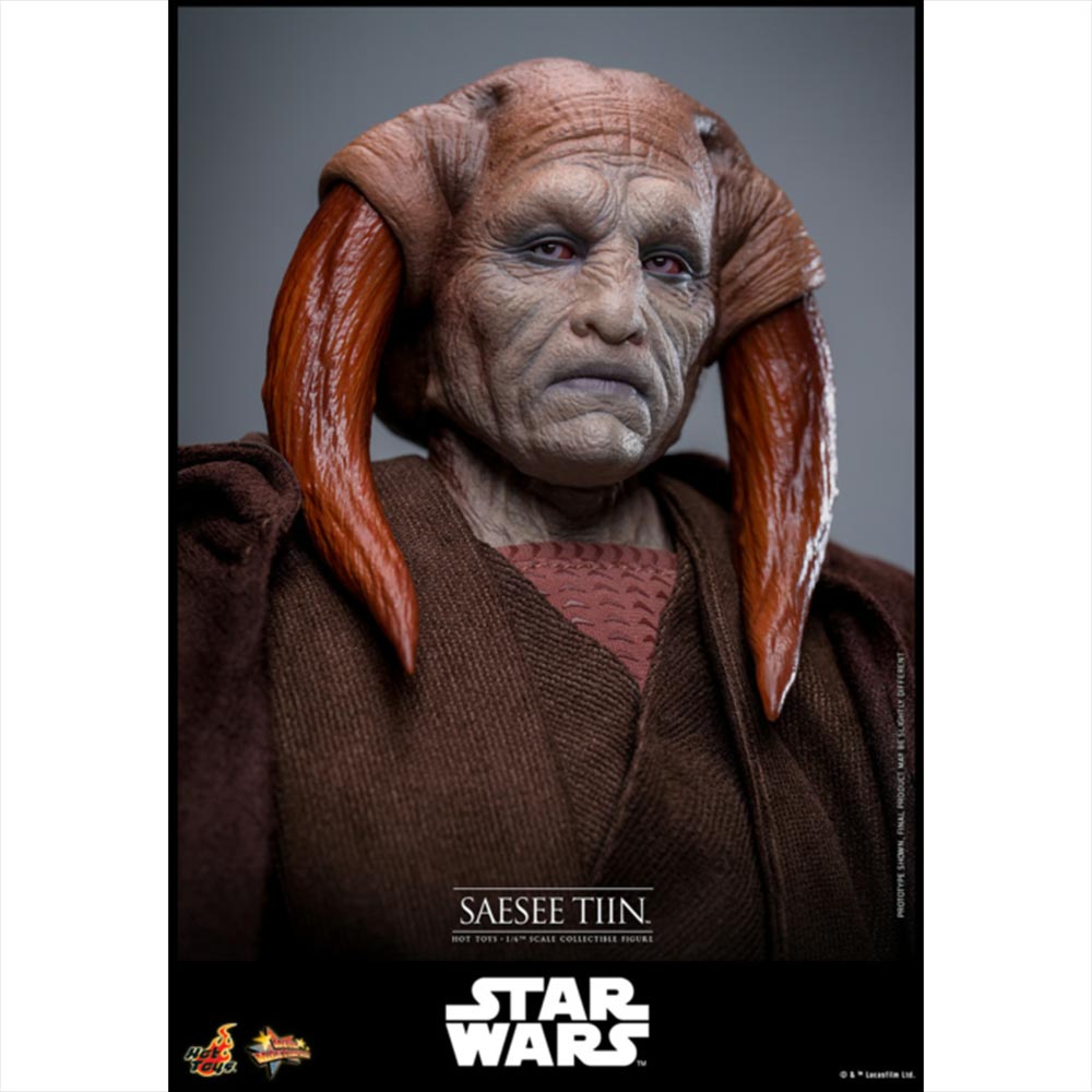 Star Wars - Saesee Tiin 1/6 Scale Action Figure - Screenshot 9
