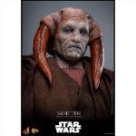 Star Wars - Saesee Tiin 1/6 Scale Action Figure - Screenshot 9