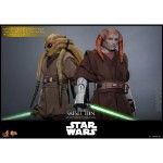 Star Wars - Saesee Tiin 1/6 Scale Action Figure - Screenshot 4