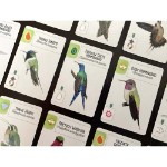 Wingspan Americas Expansion Board Game - Screenshot 2