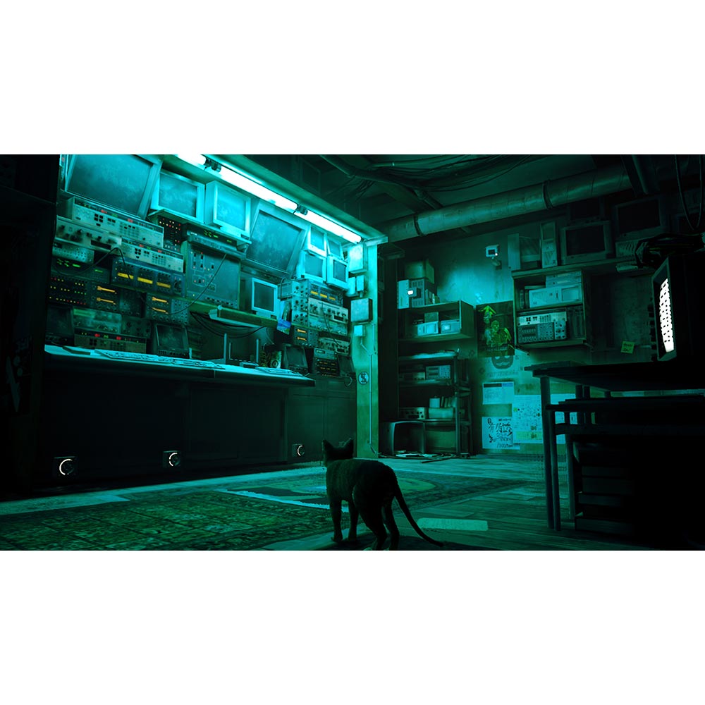 Stray (preowned) - Nintendo Switch - EB Games Australia