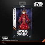 Star Wars - The Black Series - Queen Amidala Action Figure - Screenshot 2