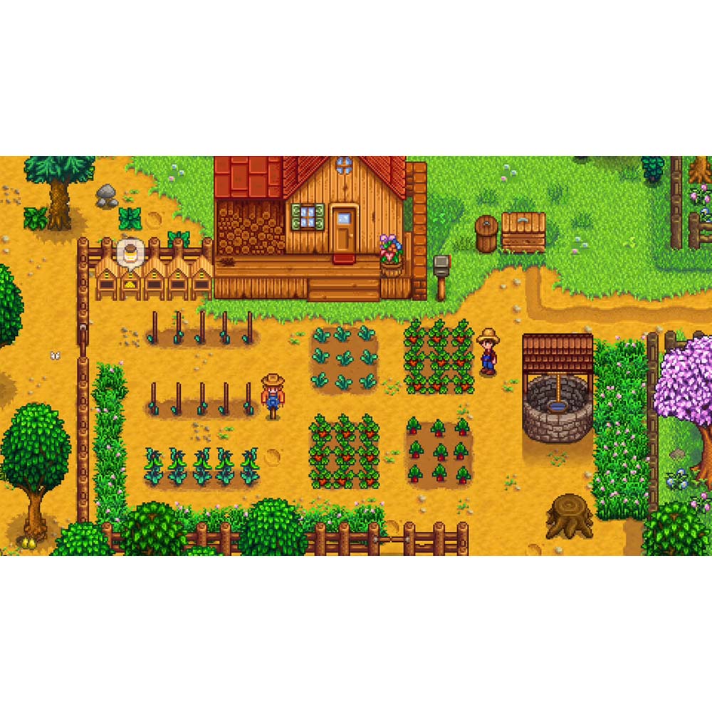Stardew Valley - Screenshot 3