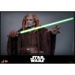 Star Wars - Saesee Tiin 1/6 Scale Action Figure - Screenshot 1