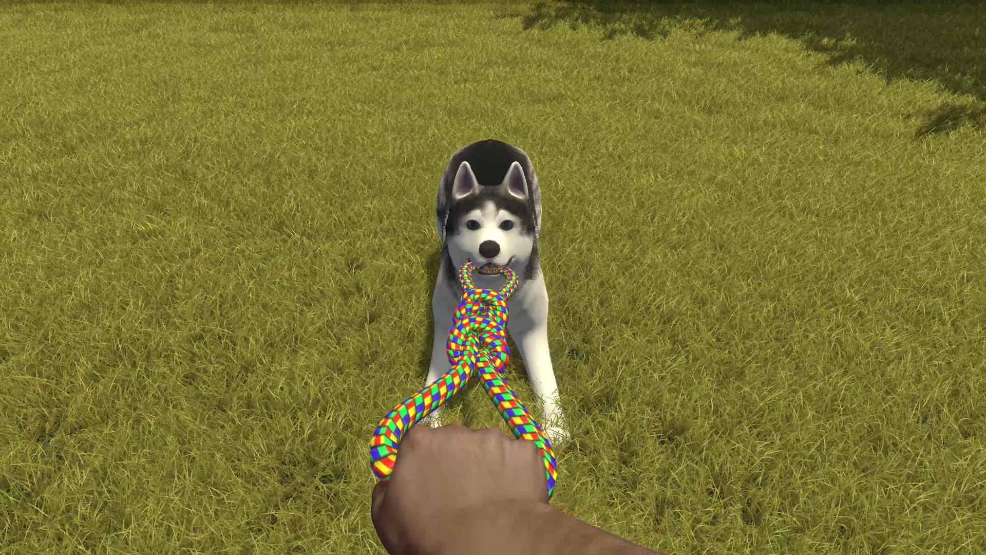 House Flipper Pets Edition - Screenshot 7