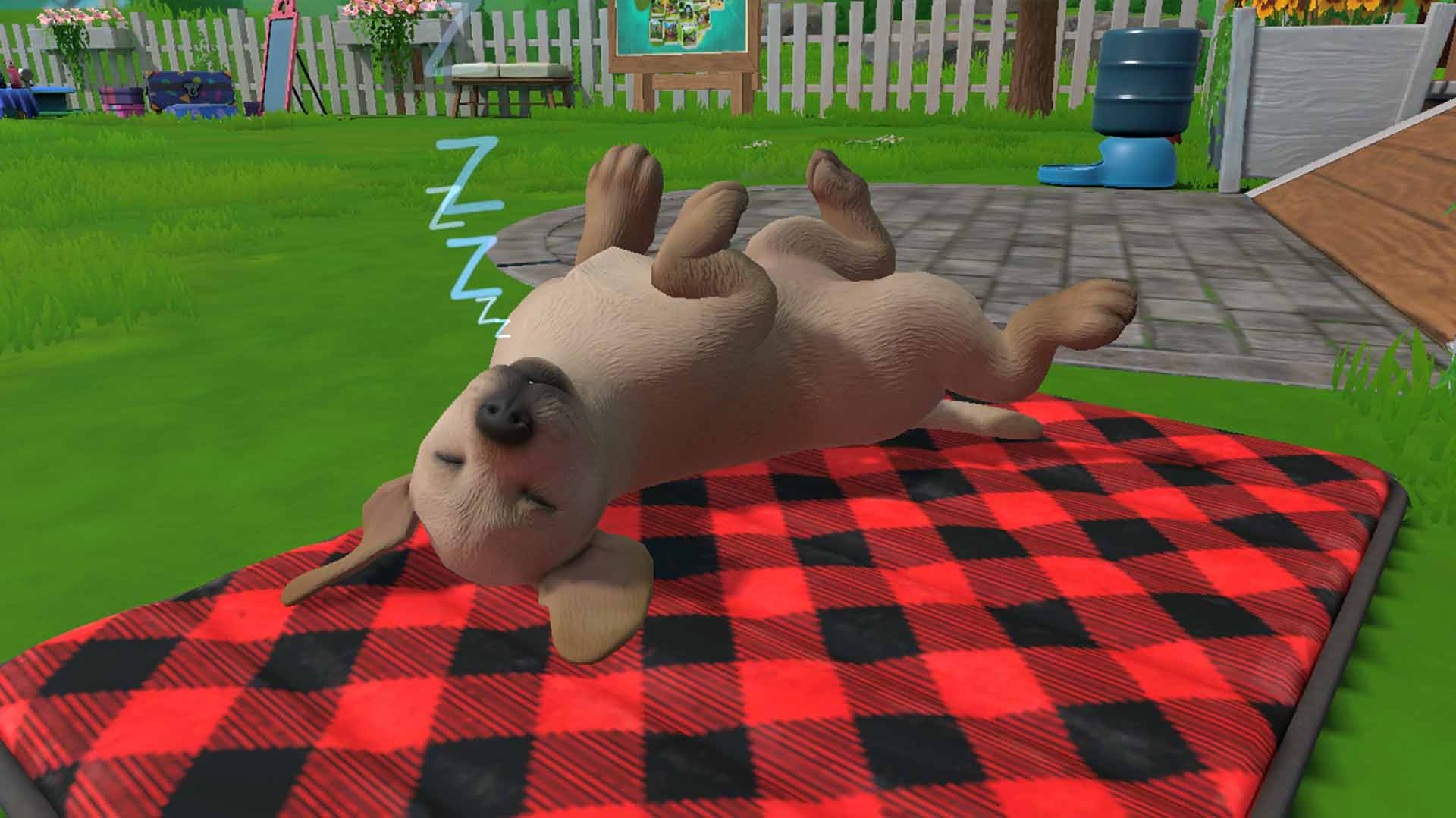 Little Friends: Puppy Island (Code-In-A-Box) - Screenshot 4